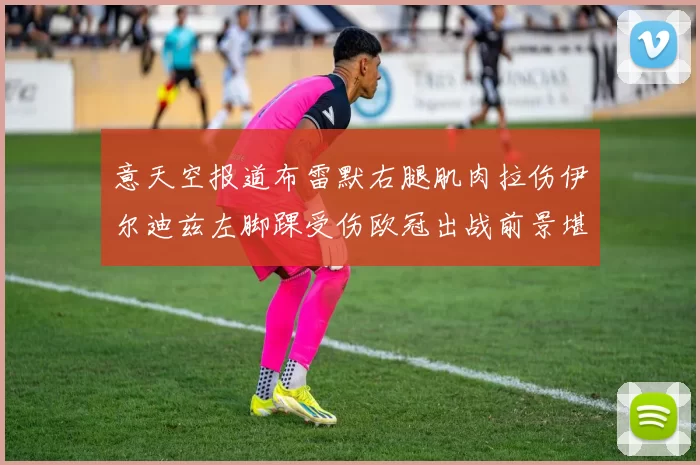 意天空报道布雷默右腿肌肉拉伤伊尔迪兹左脚踝受伤欧冠出战前景堪忧